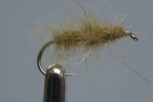 CzechNymph_Schlaufe