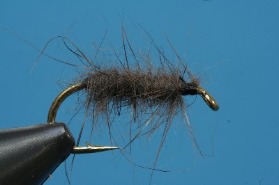 mit dunklem Eichhörnchen gedubbter Körper. mit dunklem Eichhörnchen gedubbter Körper.