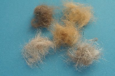 Fuchsdubbing  5 verschiedene Farben