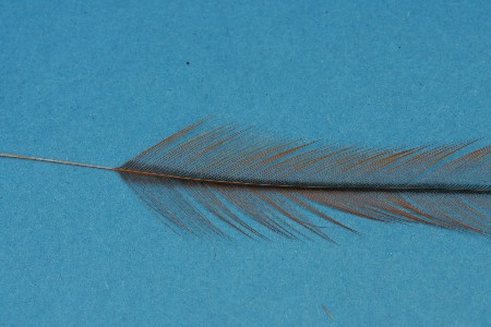 Fibern abstreifen