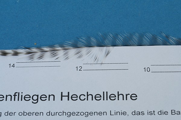 Hechellehre