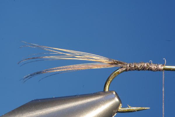 Schwanz aus steifen Fibern