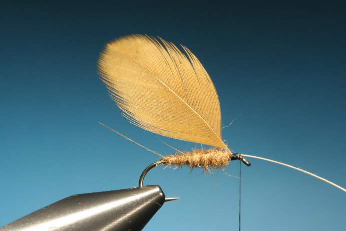Einbinden einer breiten Hennenhechel
