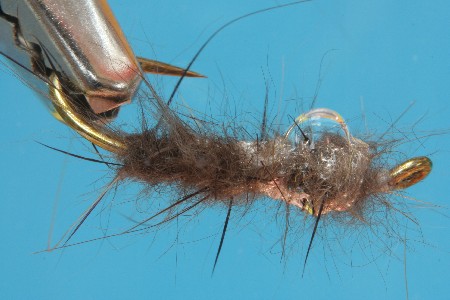 Nutria Nass