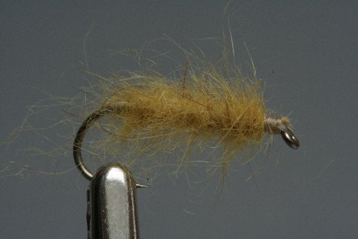 Opossum_Schlaufe