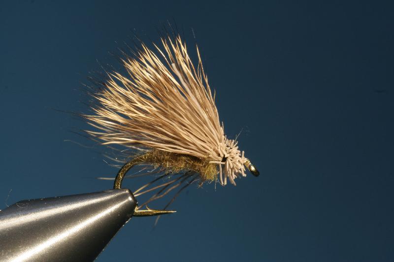 Buck Caddis