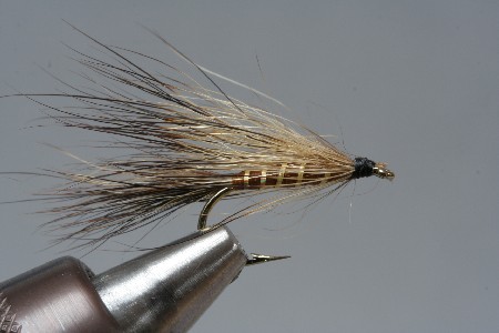 Nassfliege mit Schwanzhaaren