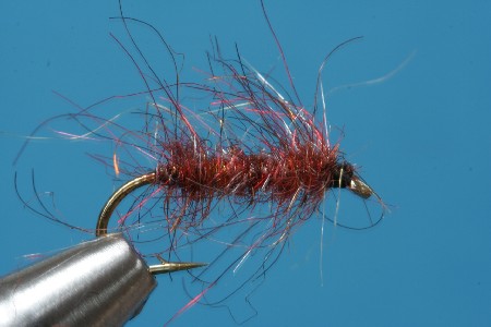 SLFSaltwaterSchlaufe2