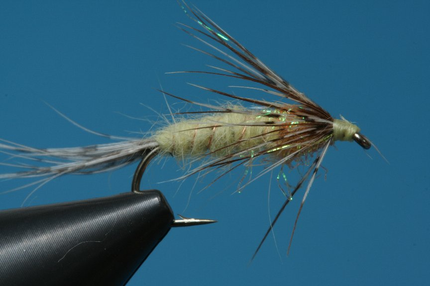 Rebhuhnhechel