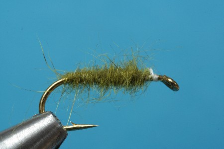 Squirrel_verdrillt