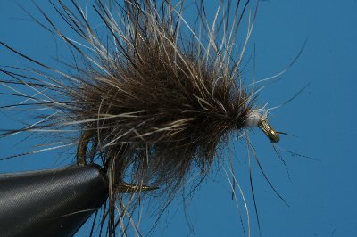 Waschbaer Schlaufentechnik mit Klammer