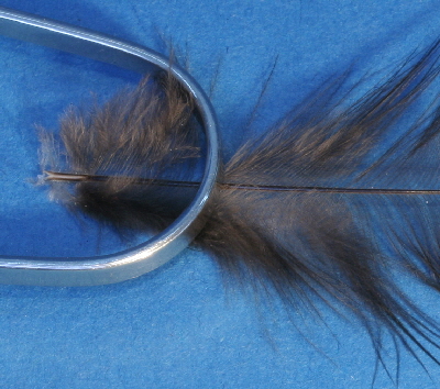 Hechel flaumiger Teil