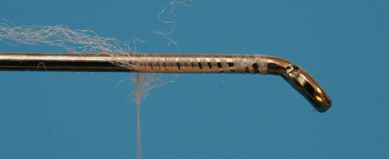 Elastic
