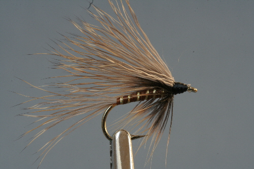 Rehhaar Nassfliege