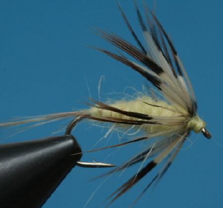 Rothuhnhechel