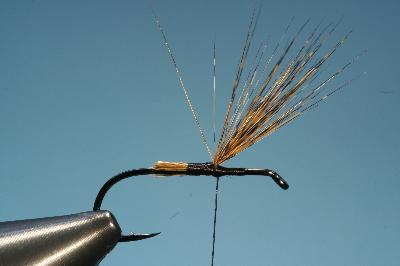 F�gel aufstellen und trennen